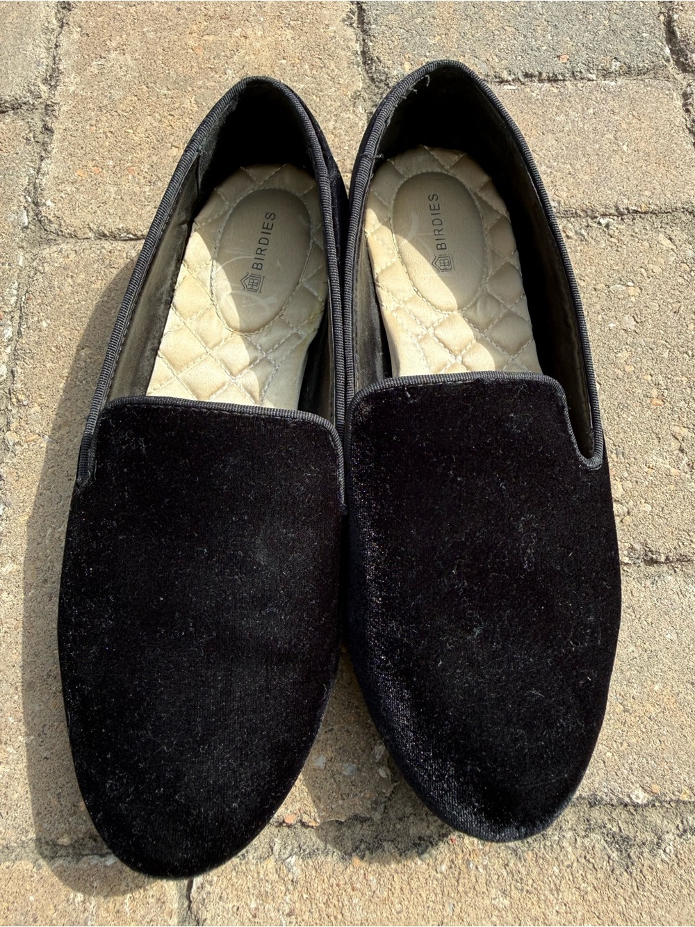 Birdies Starling Black Velvet Loafers Size 6.5 Quiet Luxury Flats